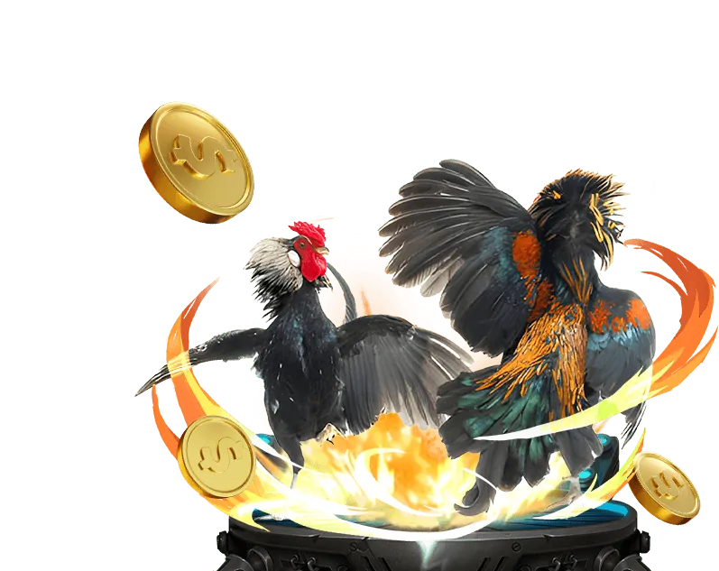 Mẹo cược đá gà Jun82